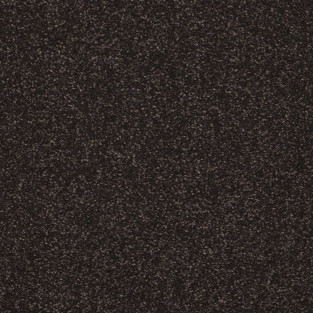 Invincible Chic Deluxe Soft Twist Carpet - Paw Print 13626/17 Invincible Chic Deluxe Soft Twist Carpet - Paw Print 13626/17