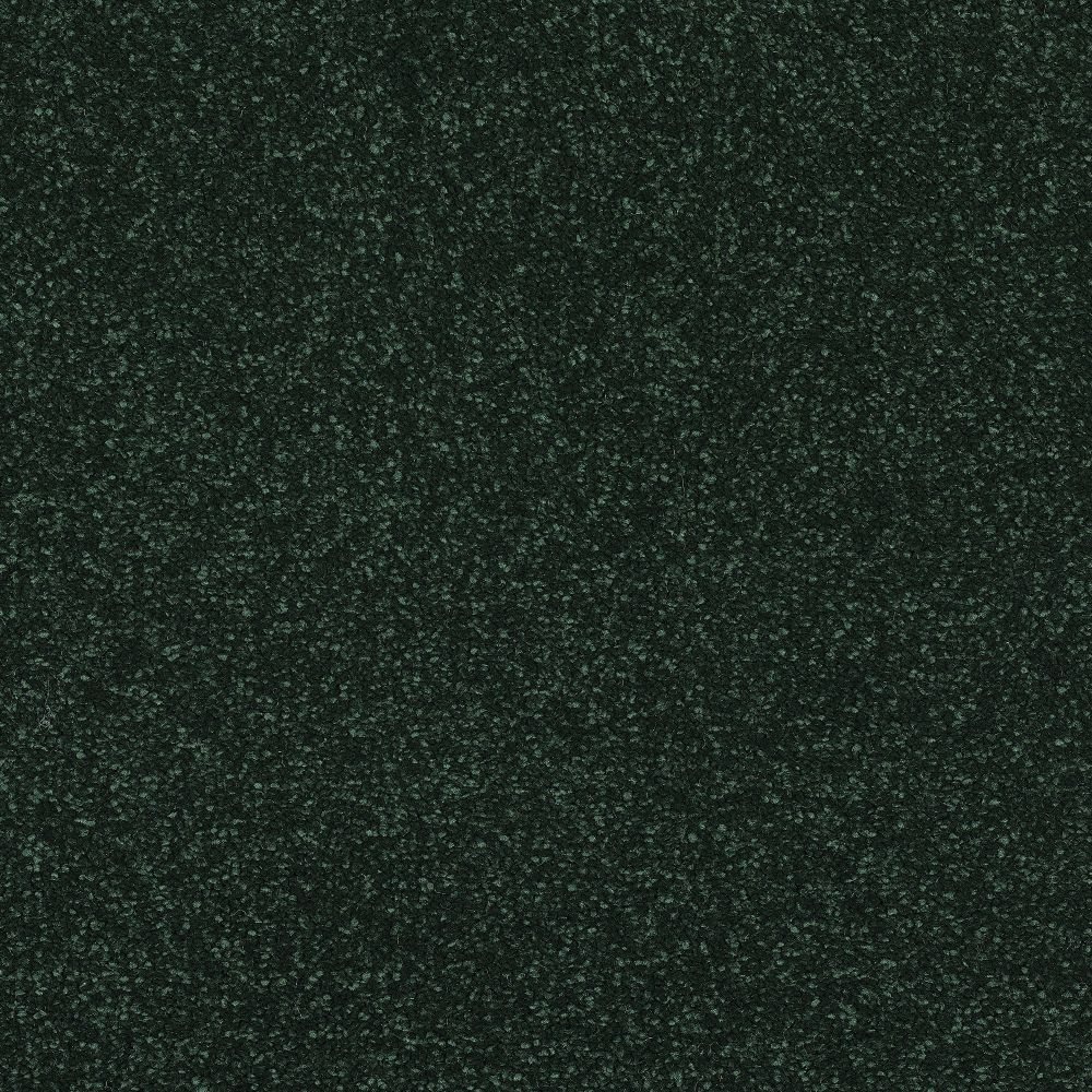 Stainfree Reflections Twist Carpet - Fir Green