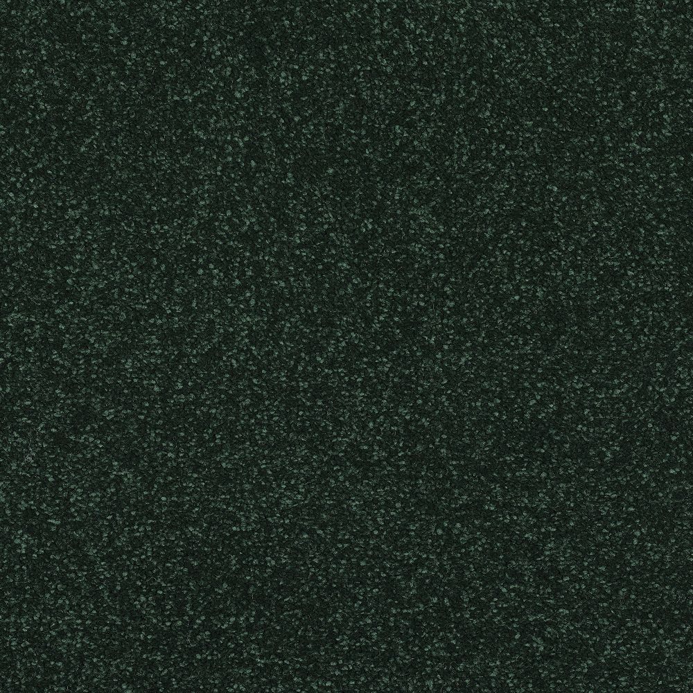 Invincible Chic Deluxe Soft Twist Carpet - Forbidden Forest 13626/20 Invincible Chic Deluxe Soft Twist Carpet - Forbidden Forest 13626/20
