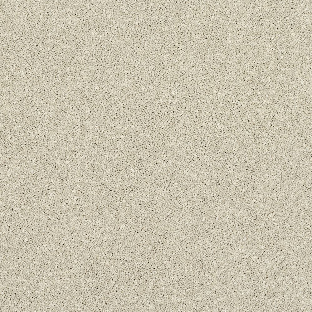 Stainfree Reflections Twist Carpet - Cotton