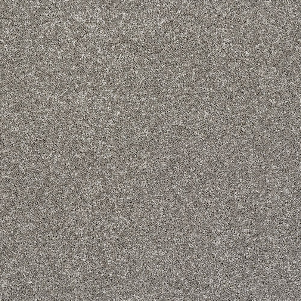 Stainfree Reflections Twist Carpet - Mocha