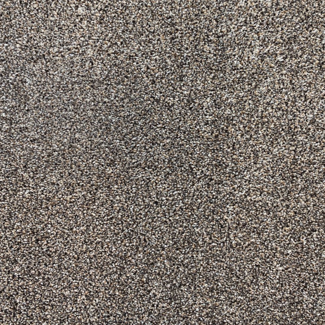 Invincible Rustic Stain Resistant Twist Carpet - Acclaim