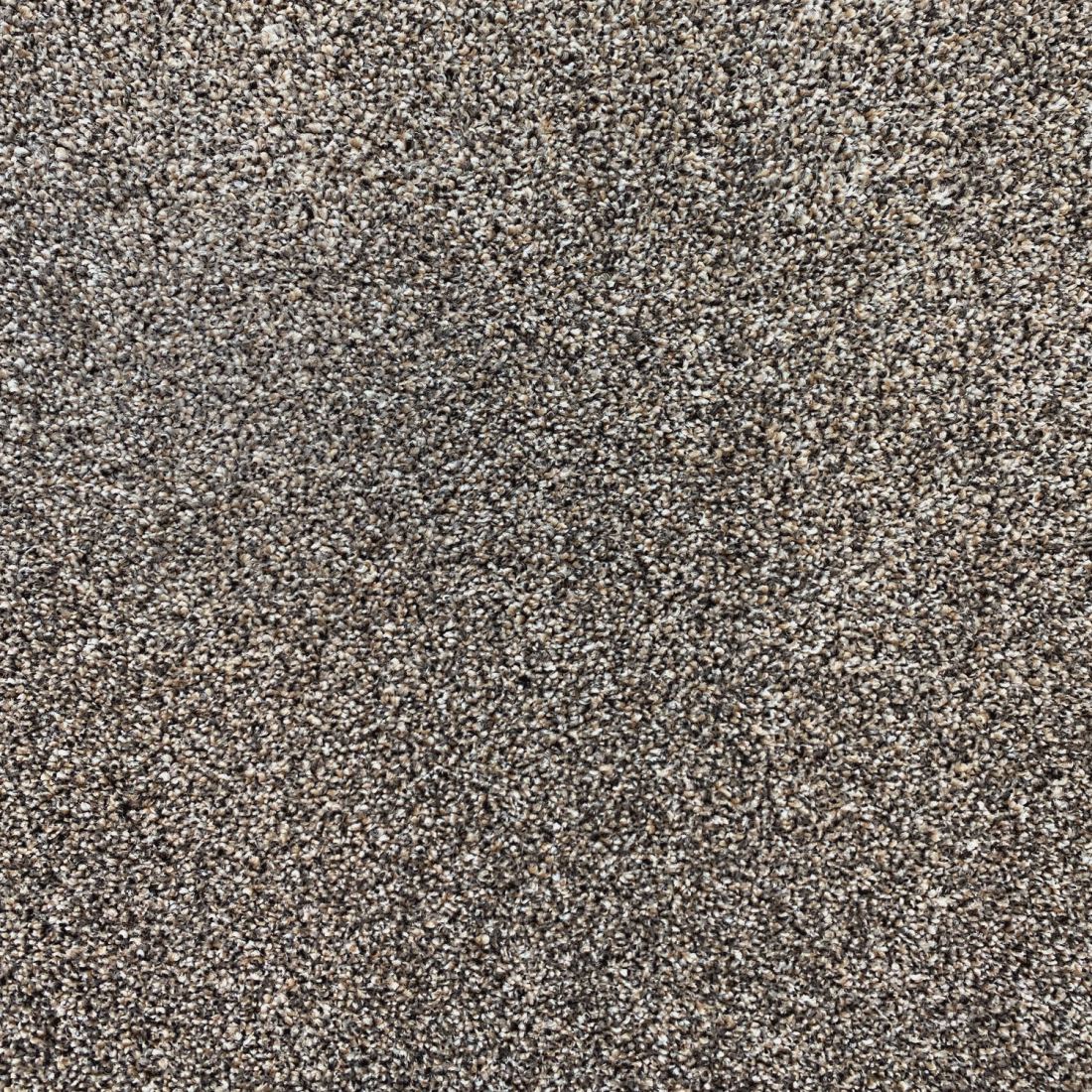 Invincible Rustic Stain Resistant Twist Carpet - Acclaim Invincible Rustic Stain Resistant Twist Carpet - Acclaim
