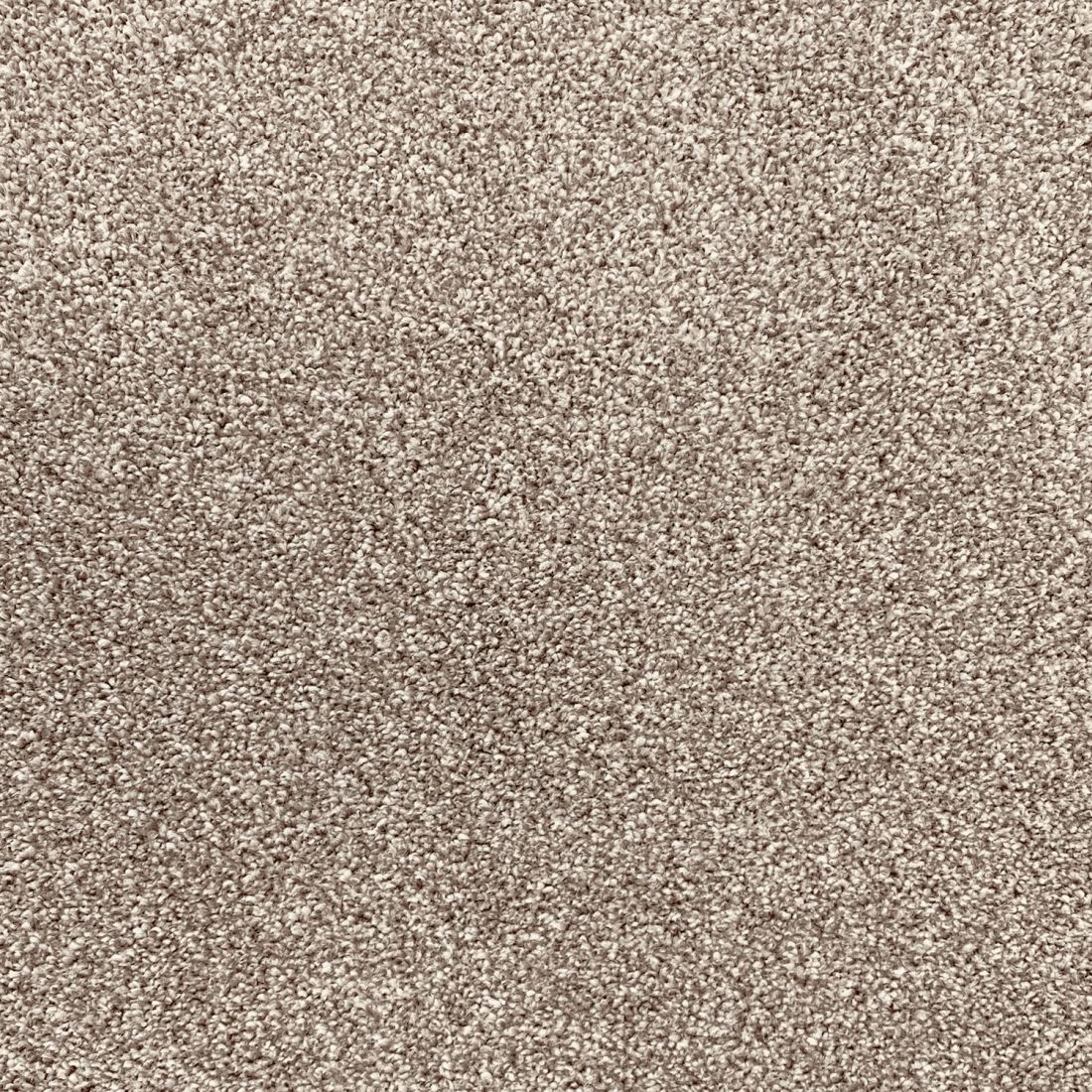 Invincible Rustic Stain Resistant Twist Carpet - Cappuccino