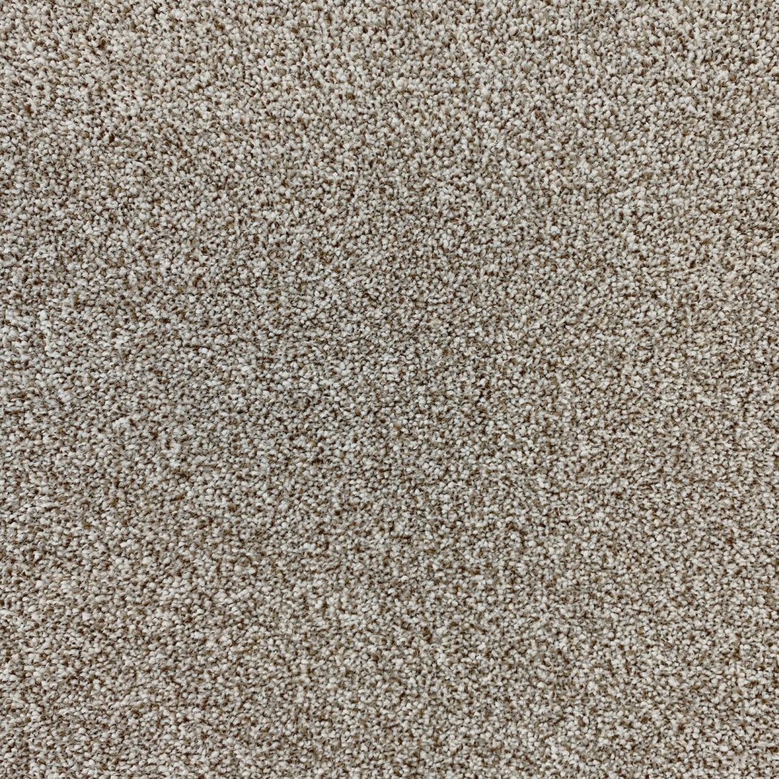 Invincible Rustic Stain Resistant Twist Carpet - Elegance