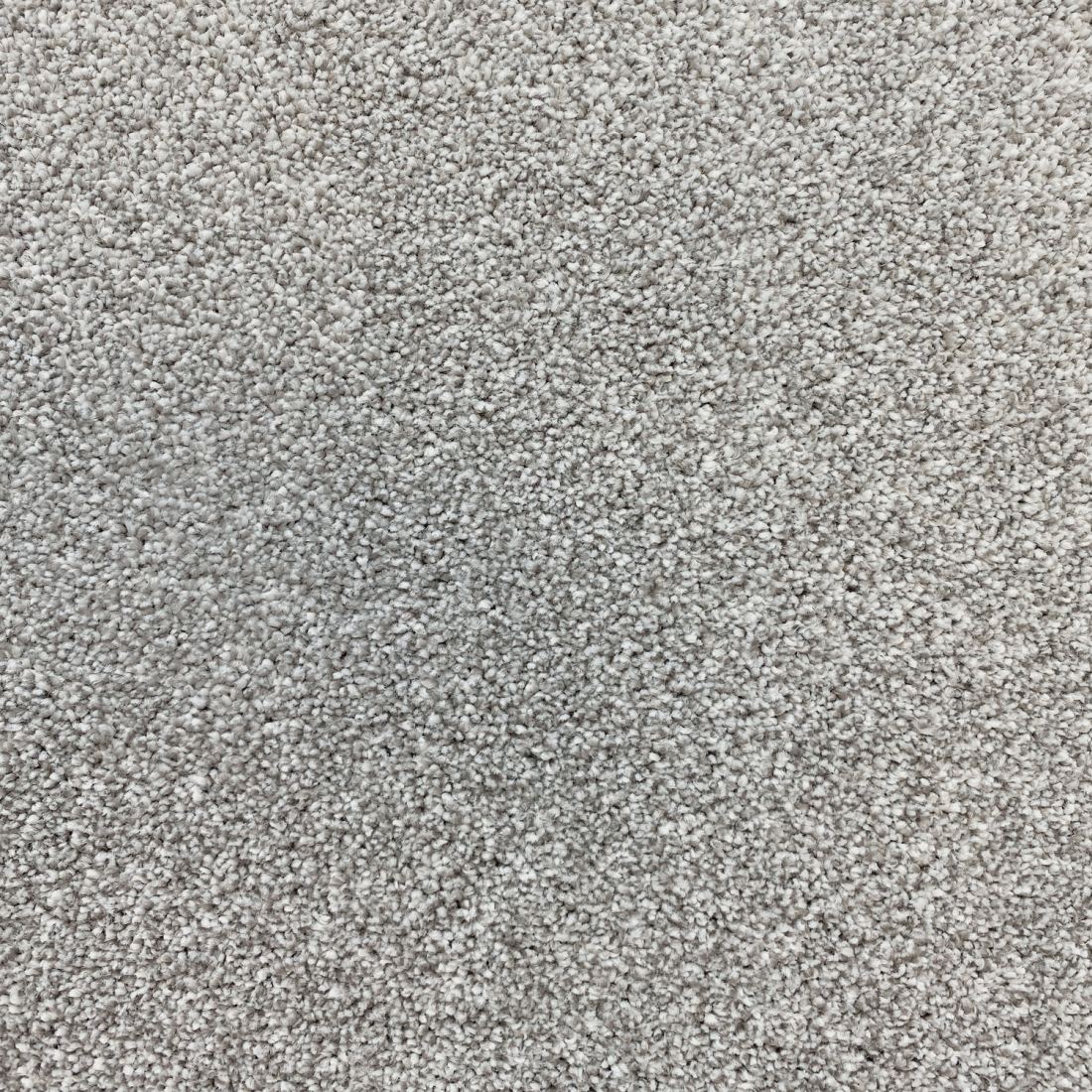 Invincible Rustic Stain Resistant Twist Carpet - Eminence
