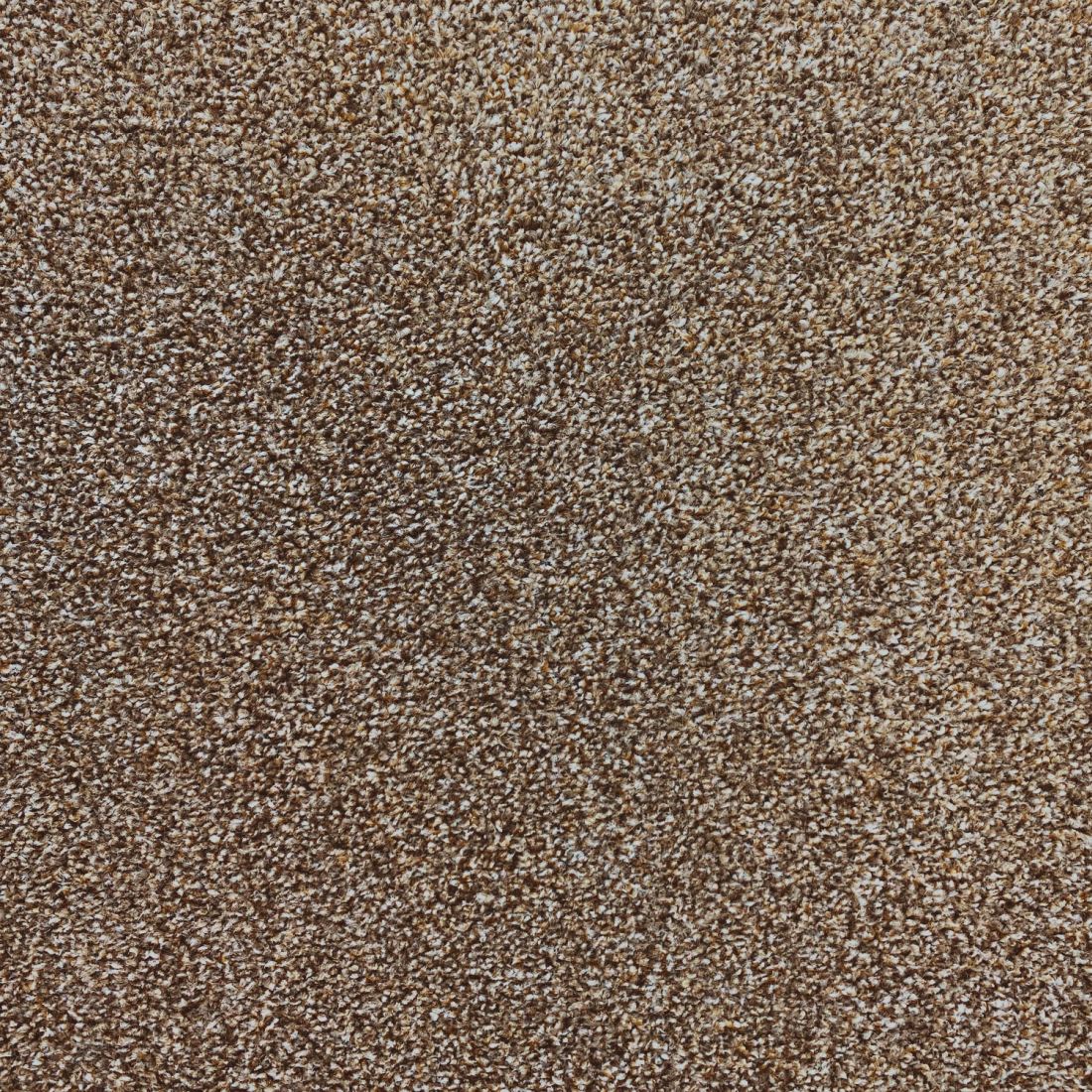 Invincible Rustic Stain Resistant Twist Carpet - Espresso