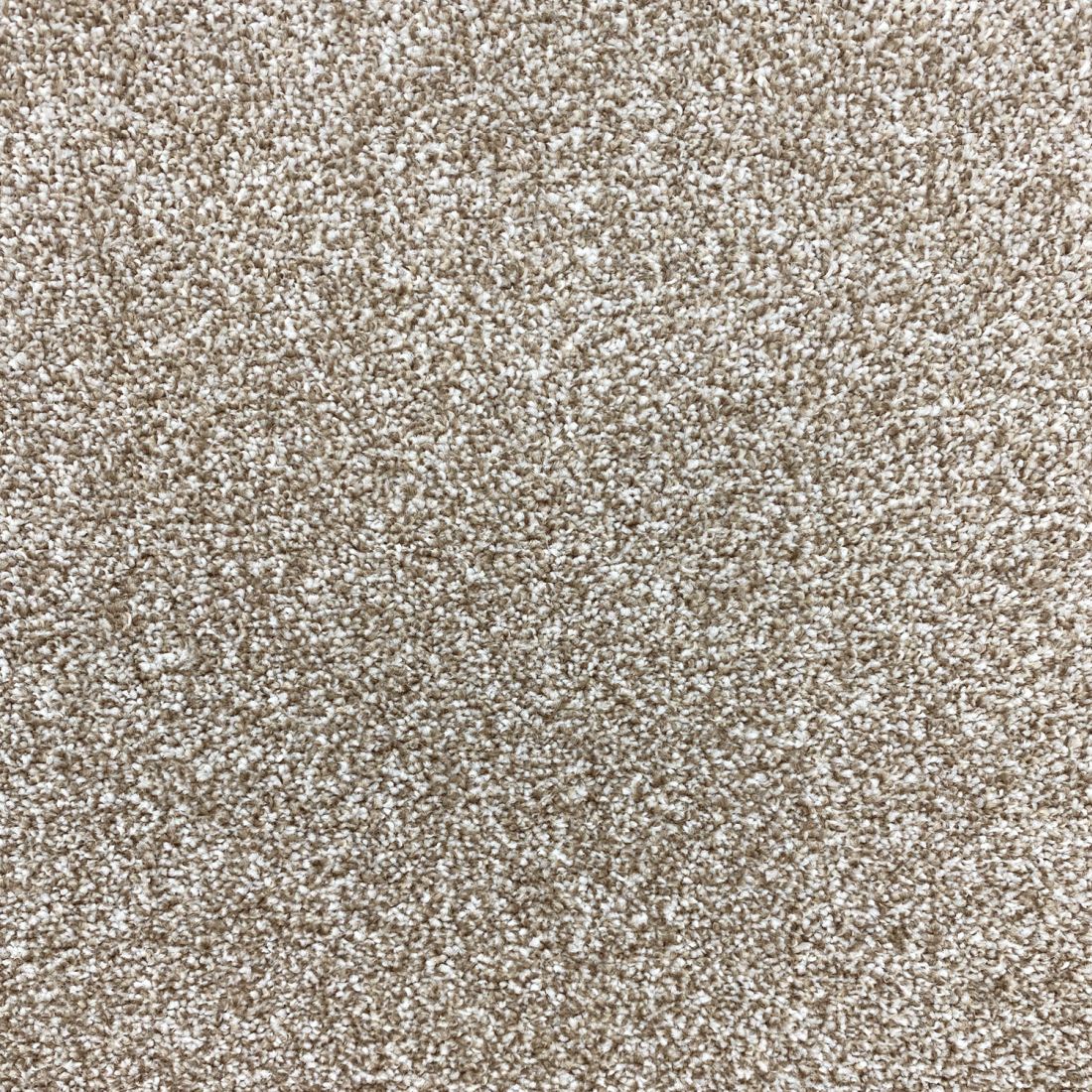 Invincible Rustic Stain Resistant Twist Carpet - Moonlight