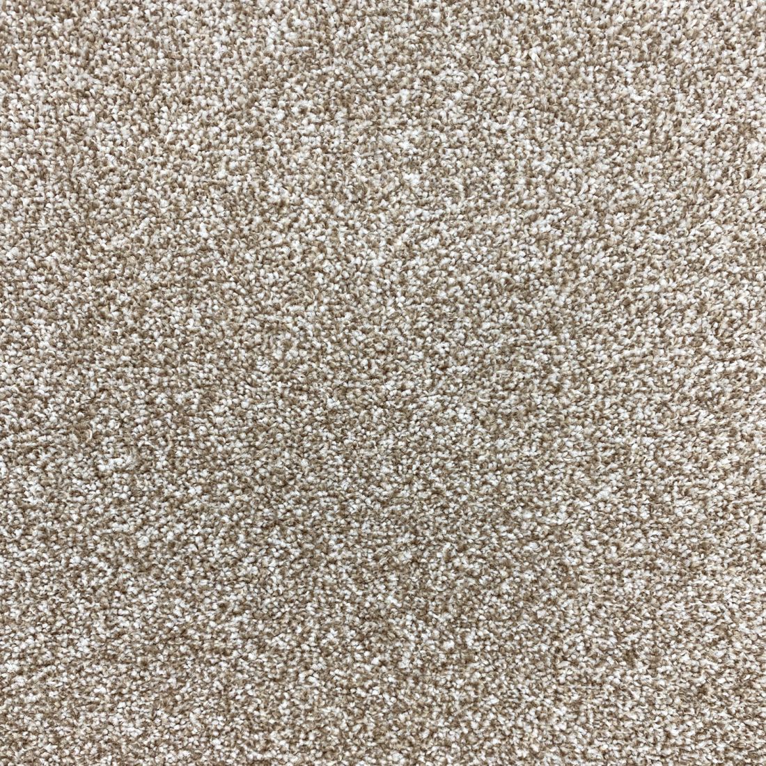 Invincible Rustic Stain Resistant Twist Carpet - Moonlight Invincible Rustic Stain Resistant Twist Carpet - Moonlight