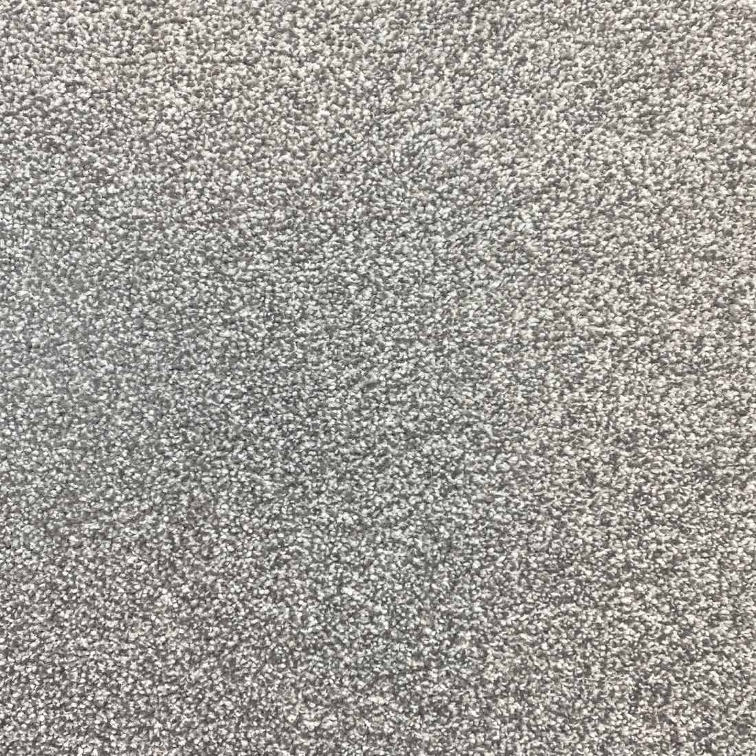 Invincible Rustic Stain Resistant Twist Carpet - Platinum