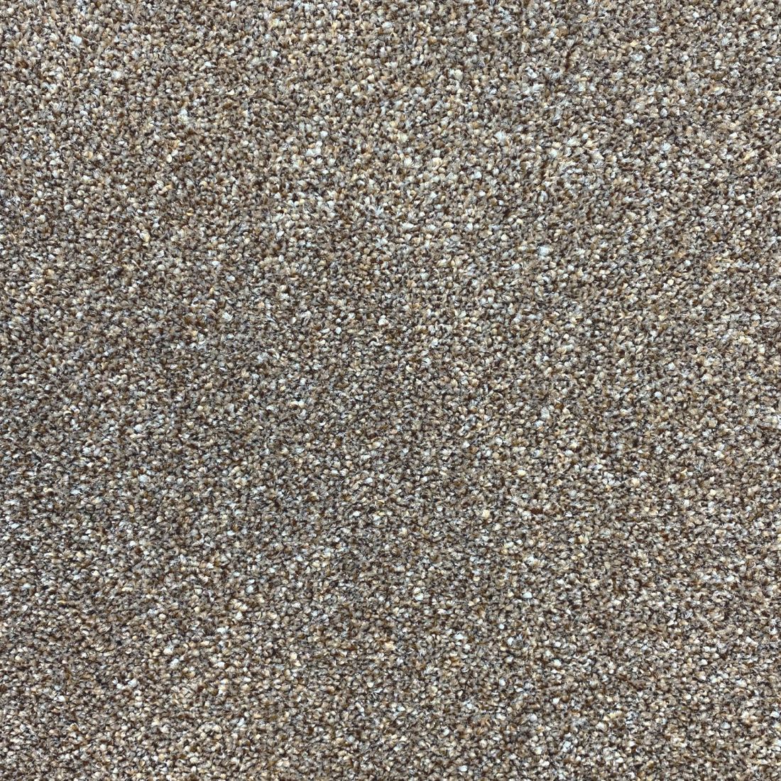 Invincible Rustic Stain Resistant Twist Carpet - Splendour