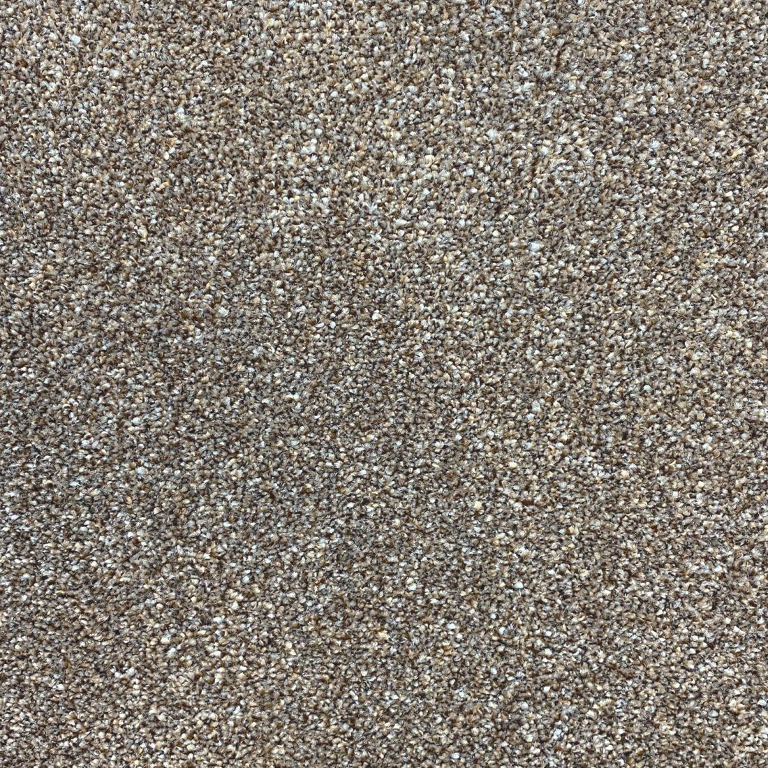 Invincible Rustic Stain Resistant Twist Carpet - Splendour Invincible Rustic Stain Resistant Twist Carpet - Splendour
