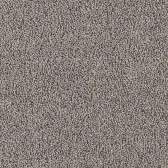 Lincoln Twist 40 Wool Carpet - Deer