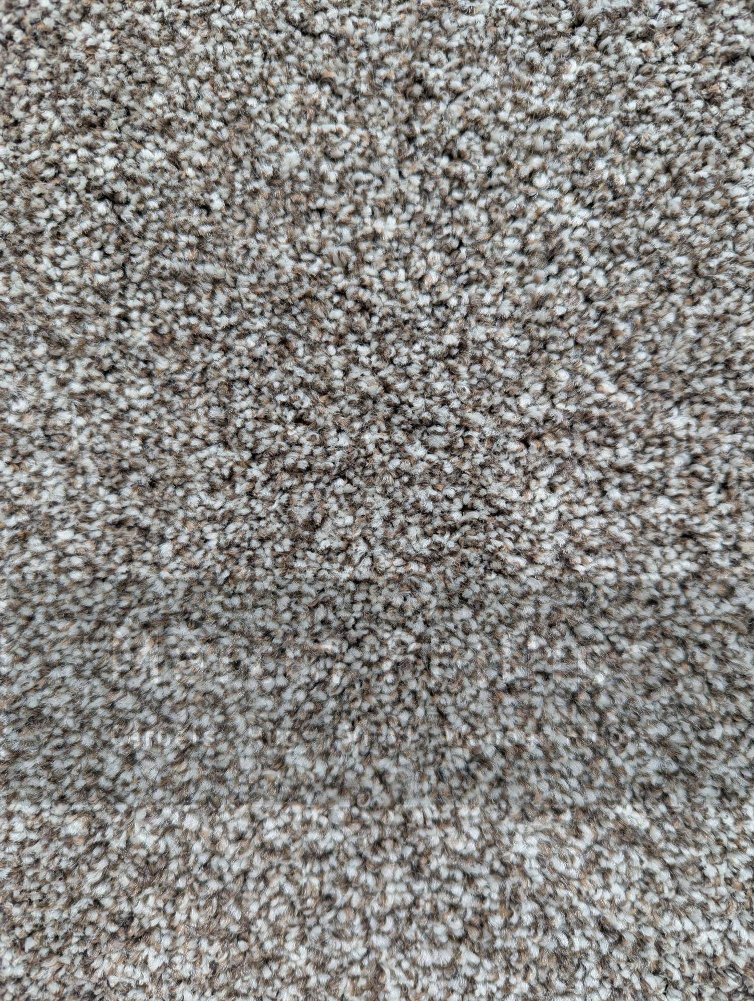 Patterdale Saxony Carpet - 625 Ancient