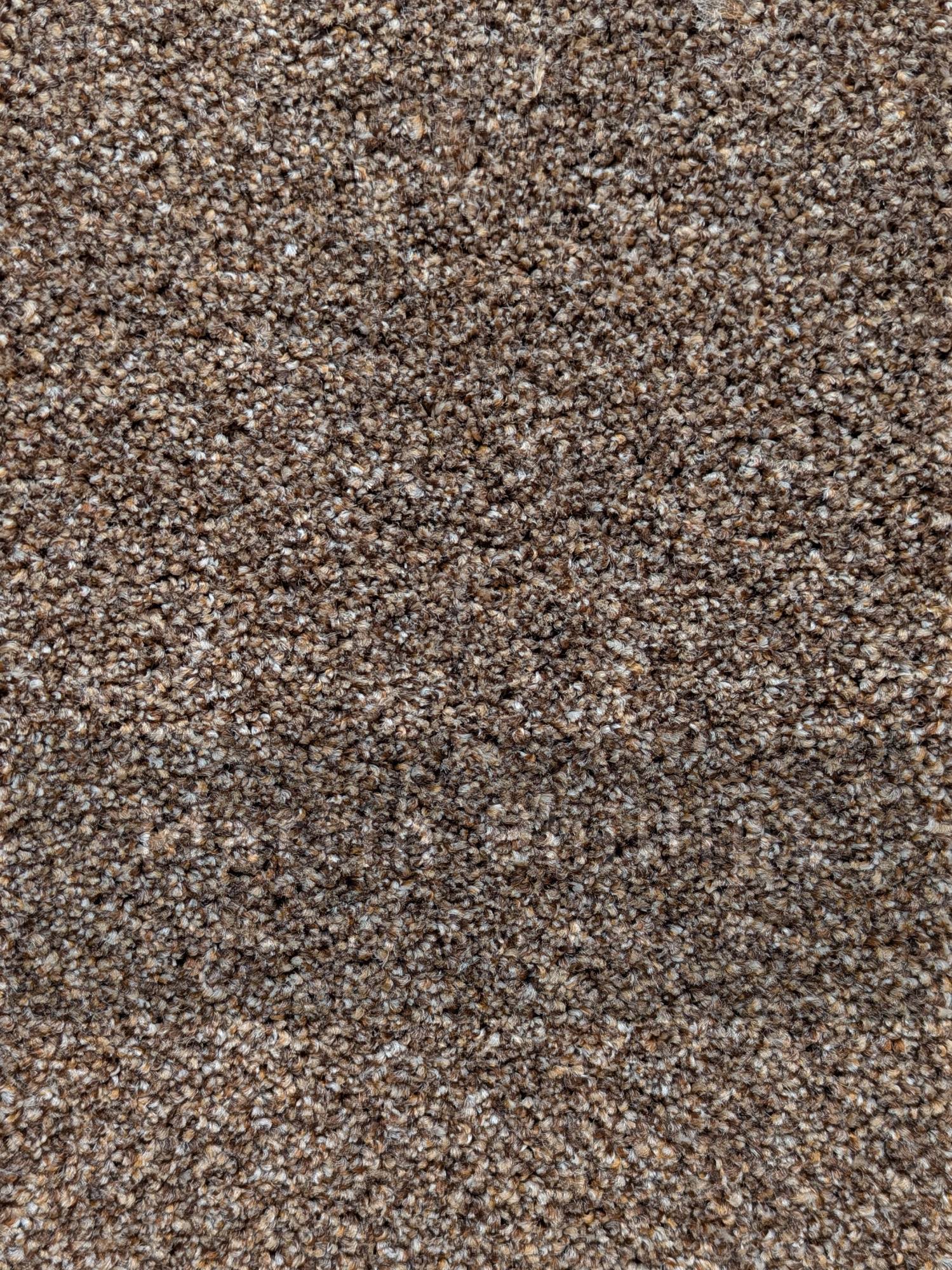 Patterdale Saxony Carpet - 626 Blush