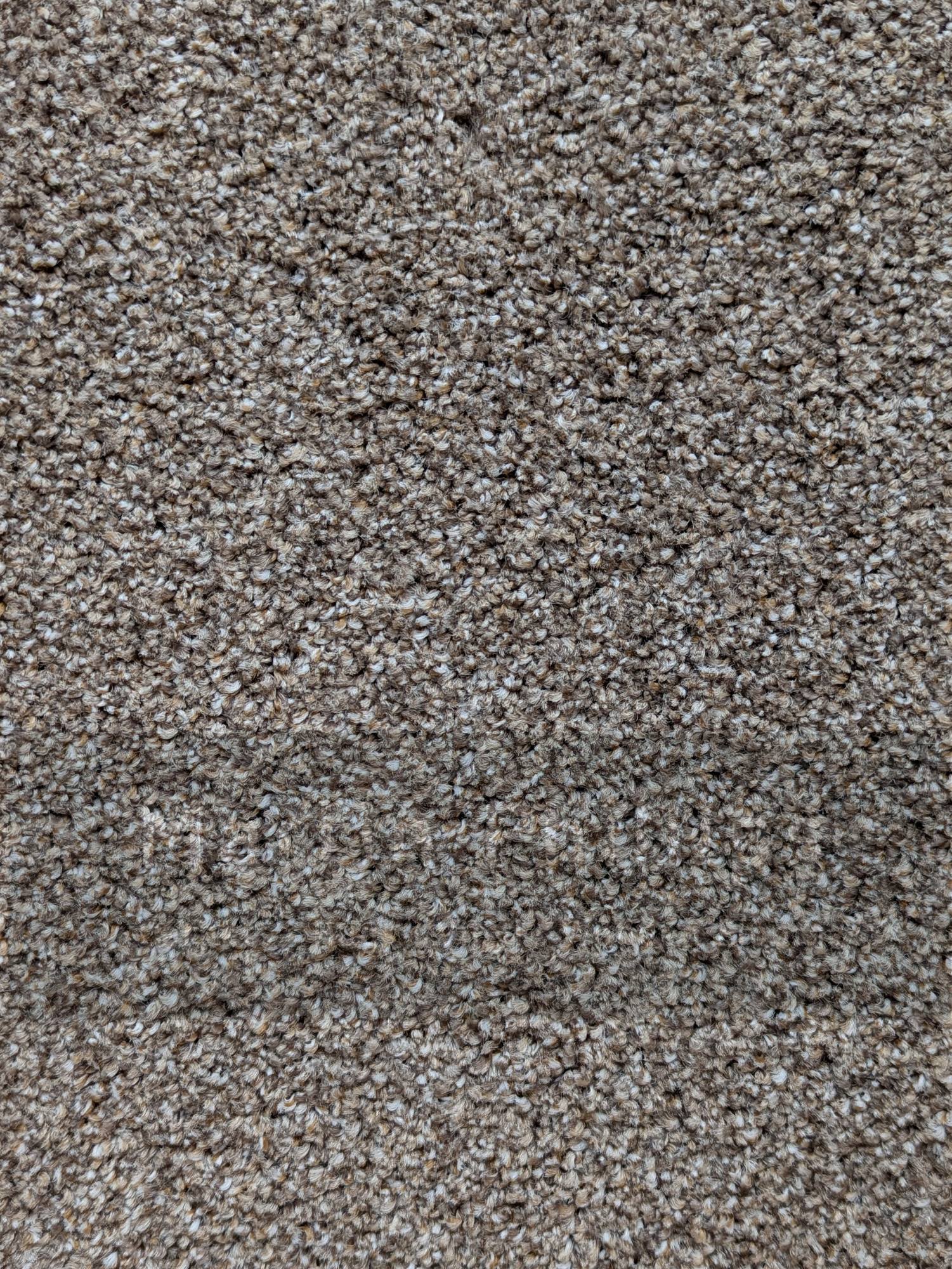 Patterdale Saxony Carpet - 627 Hazelnut