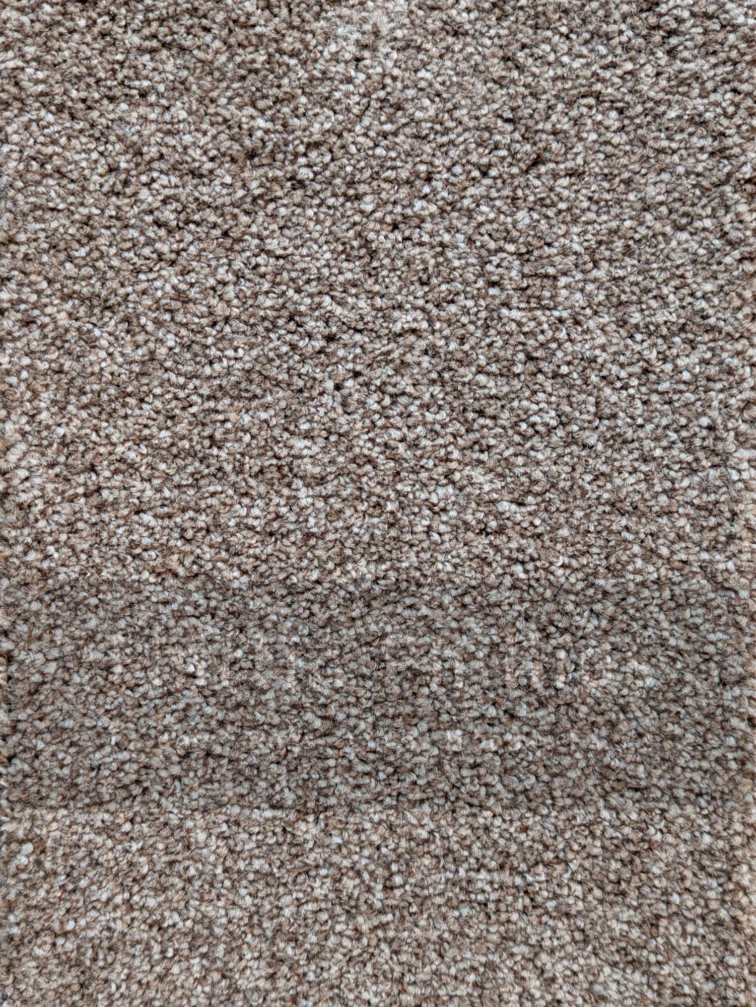 Patterdale Saxony Carpet - 630 Celestia