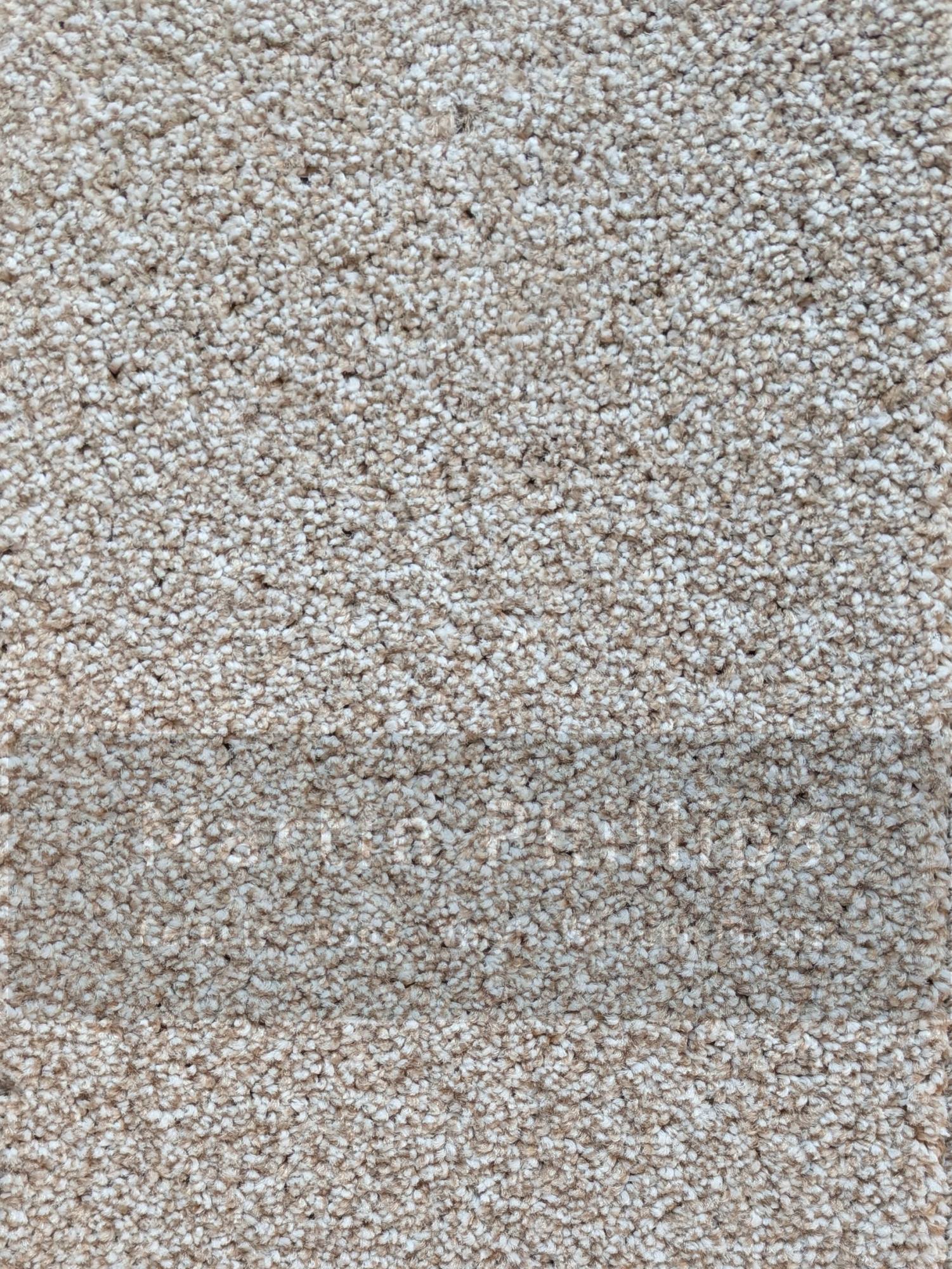 Patterdale Saxony Carpet - 631 Marble