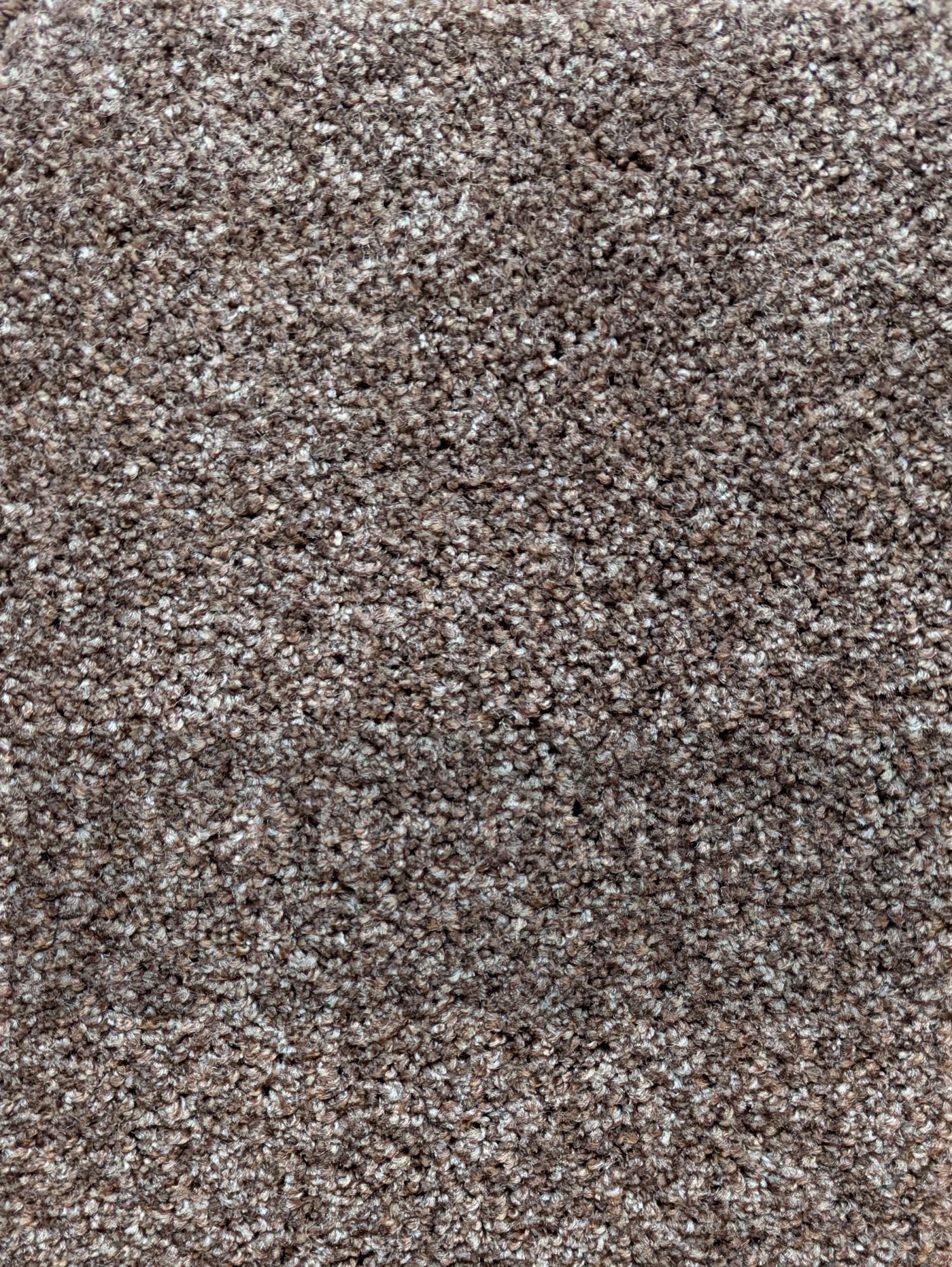 Patterdale Saxony Carpet - 633 Beige