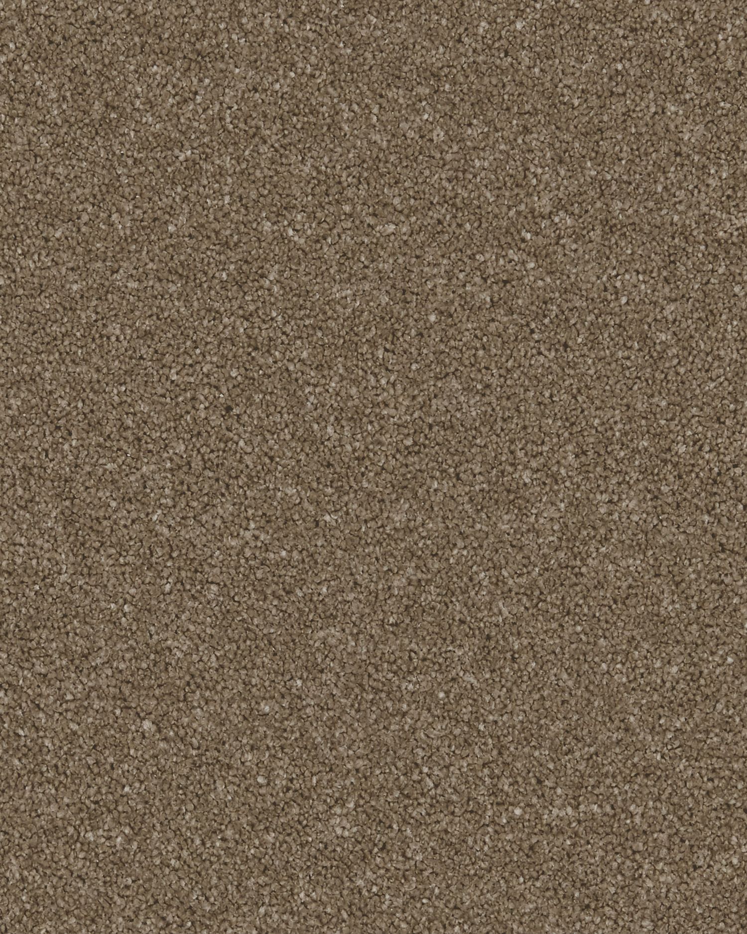 Presence Twist Carpet - Angora