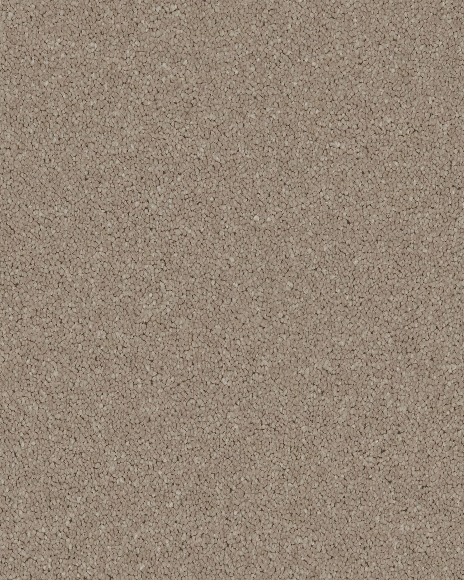 Presence Twist Carpet - Barley Rise