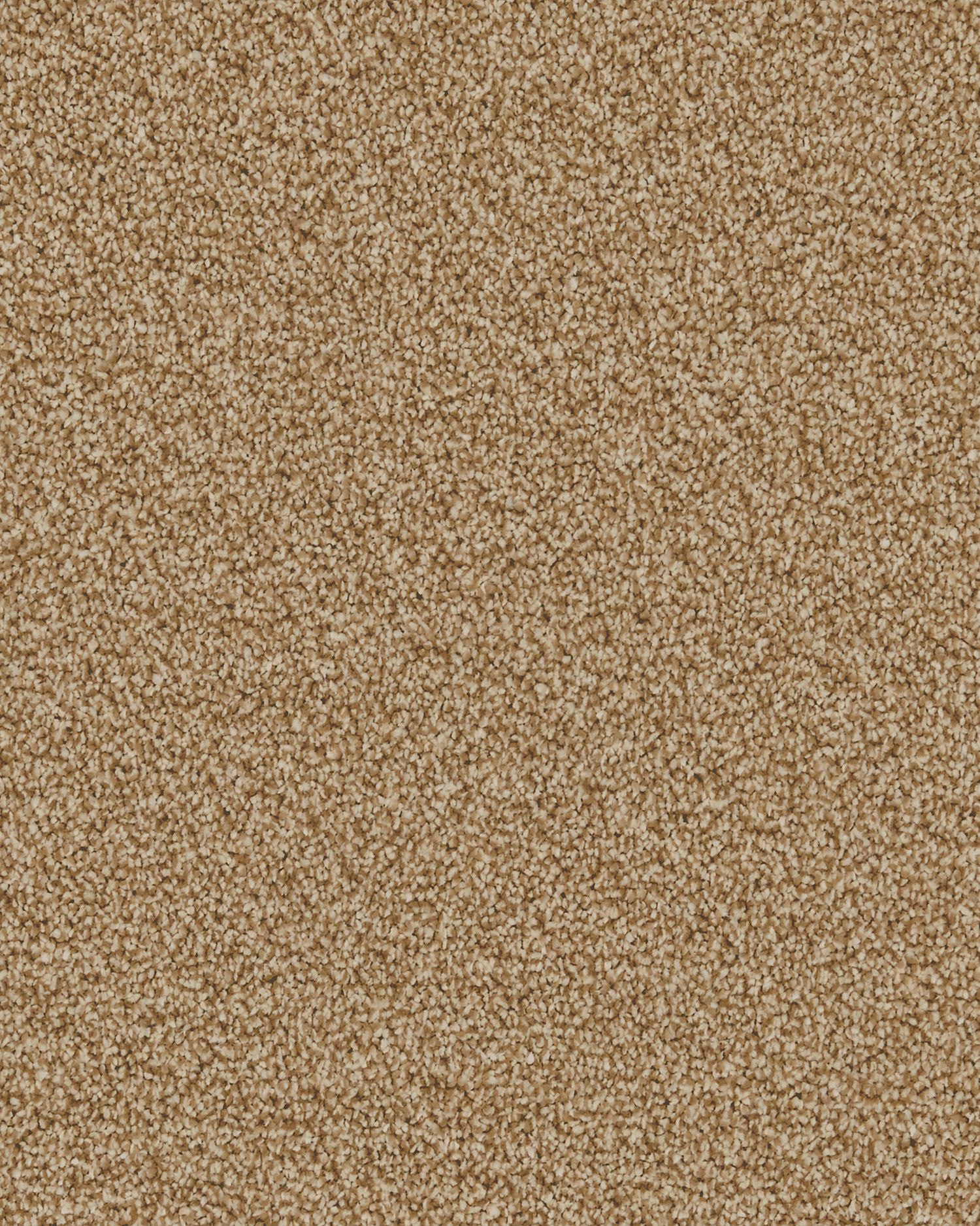 Presence Twist Carpet - Sandstorm