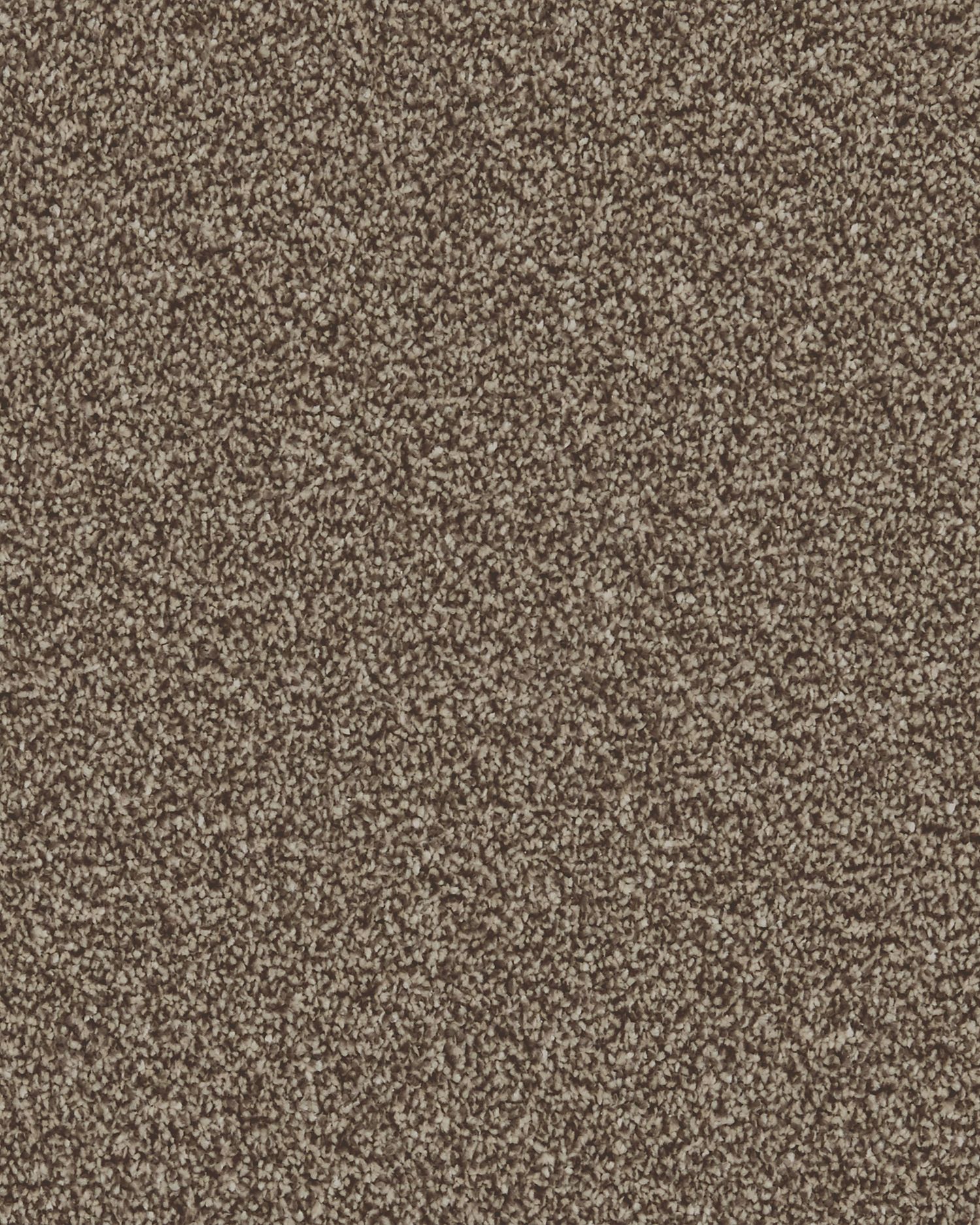 Presence Twist Carpet - Wood Blewit
