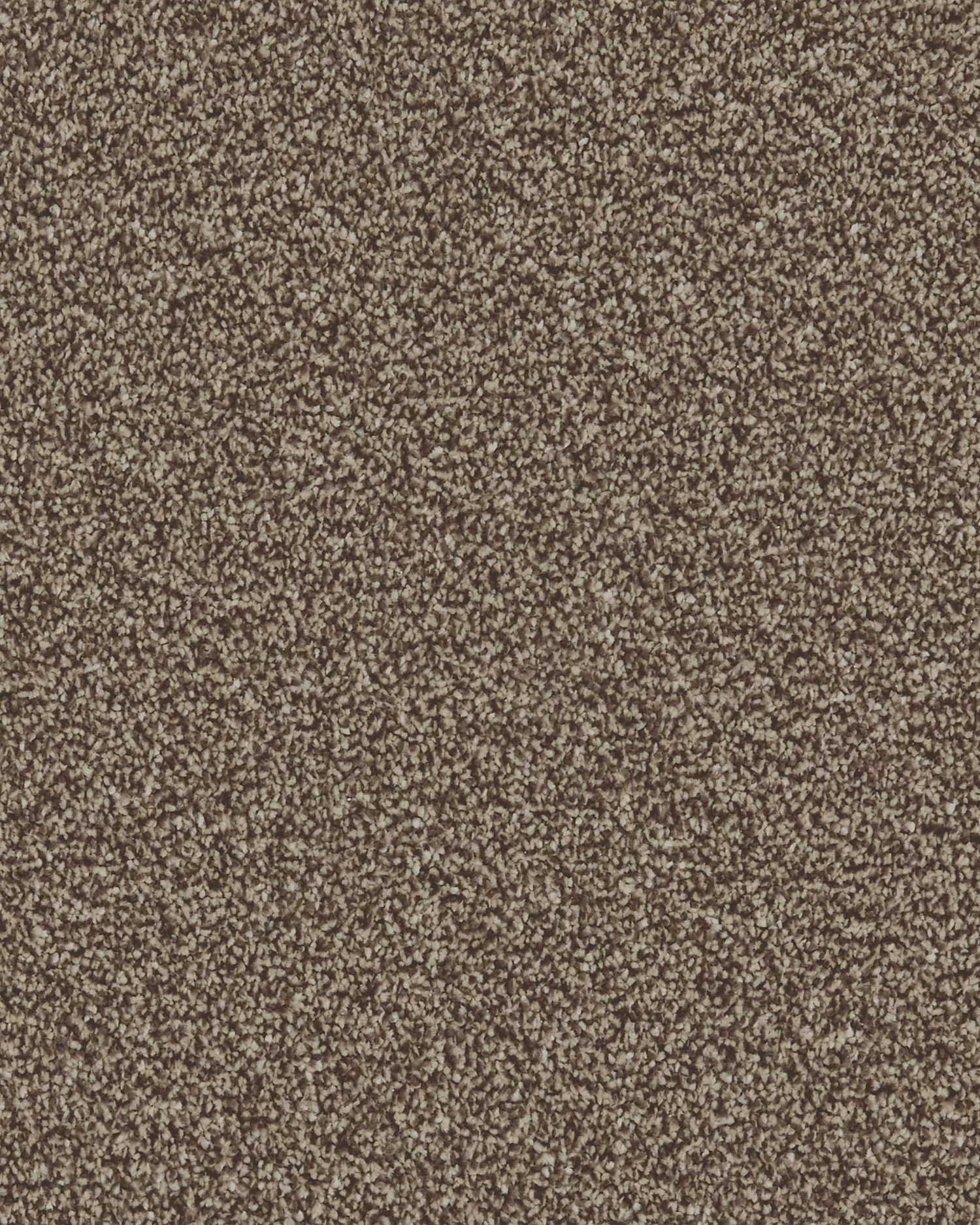 Presence Twist Carpet - Wood Blewit