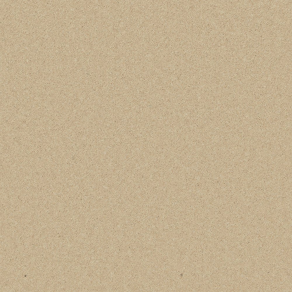 Providence Wool Twist Carpet - Chablis Providence Wool Twist Carpet - Chablis