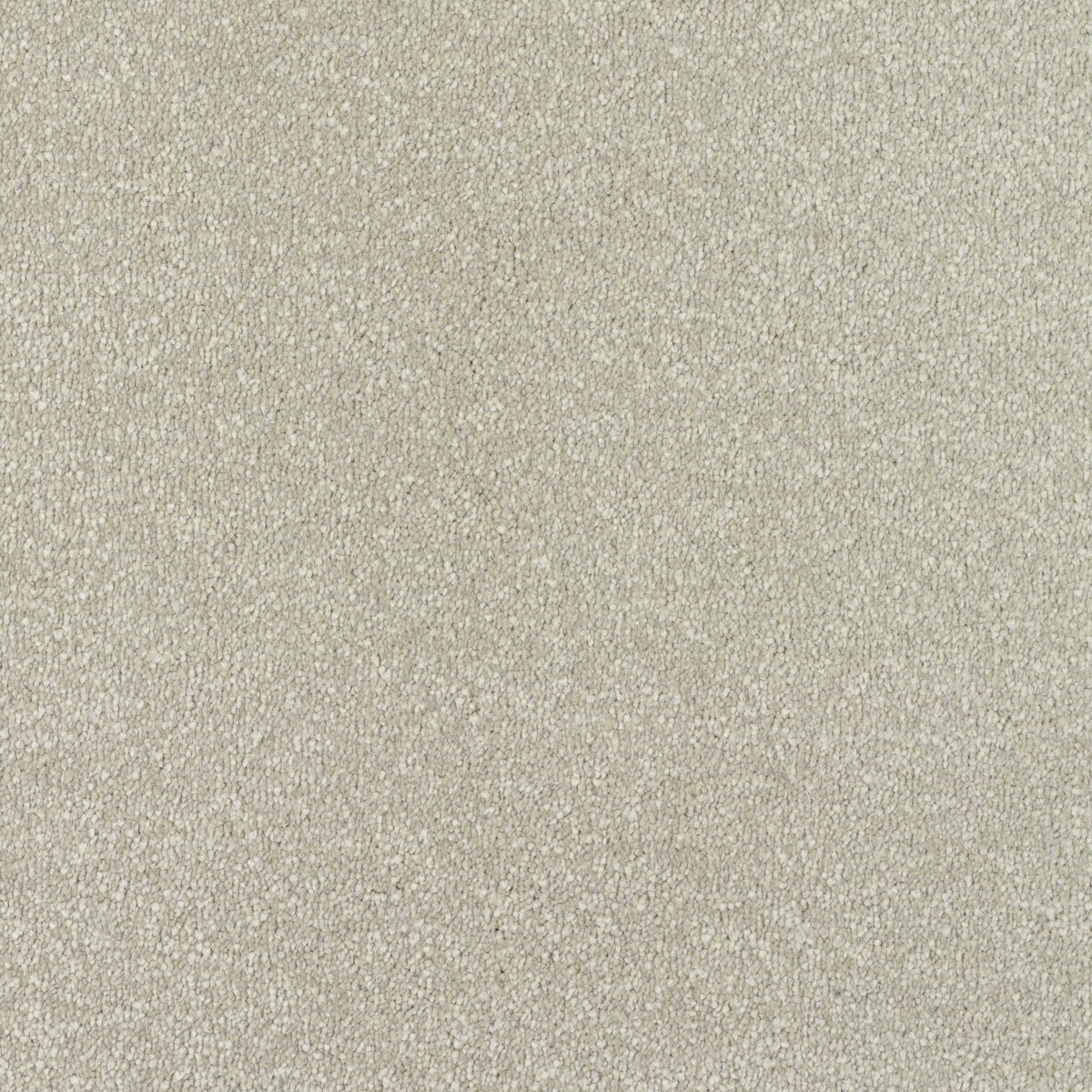 Regal Touch Luxurious Heavy Twist Carpet - Crowned Regal Touch Luxurious Heavy Twist Carpet - Crowned