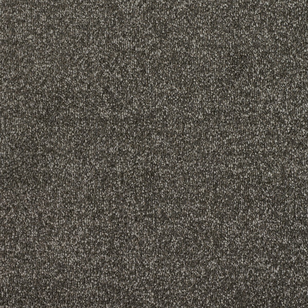 Regal Touch Luxurious Heavy Twist Carpet - Dignify