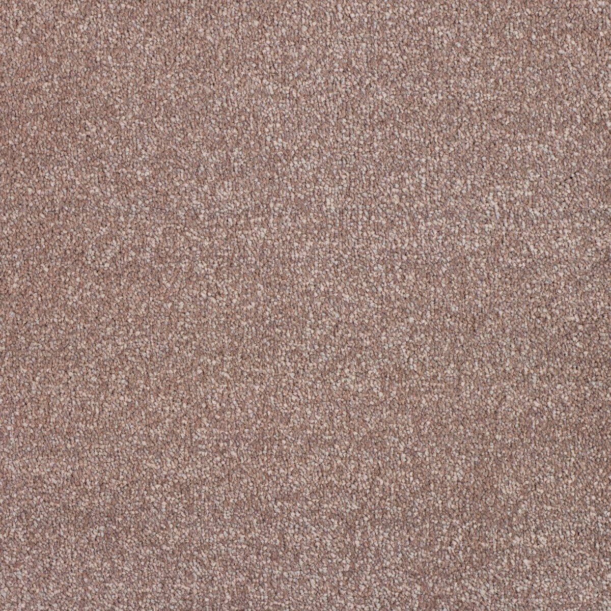Regal Touch Luxurious Heavy Twist Carpet - Exalted