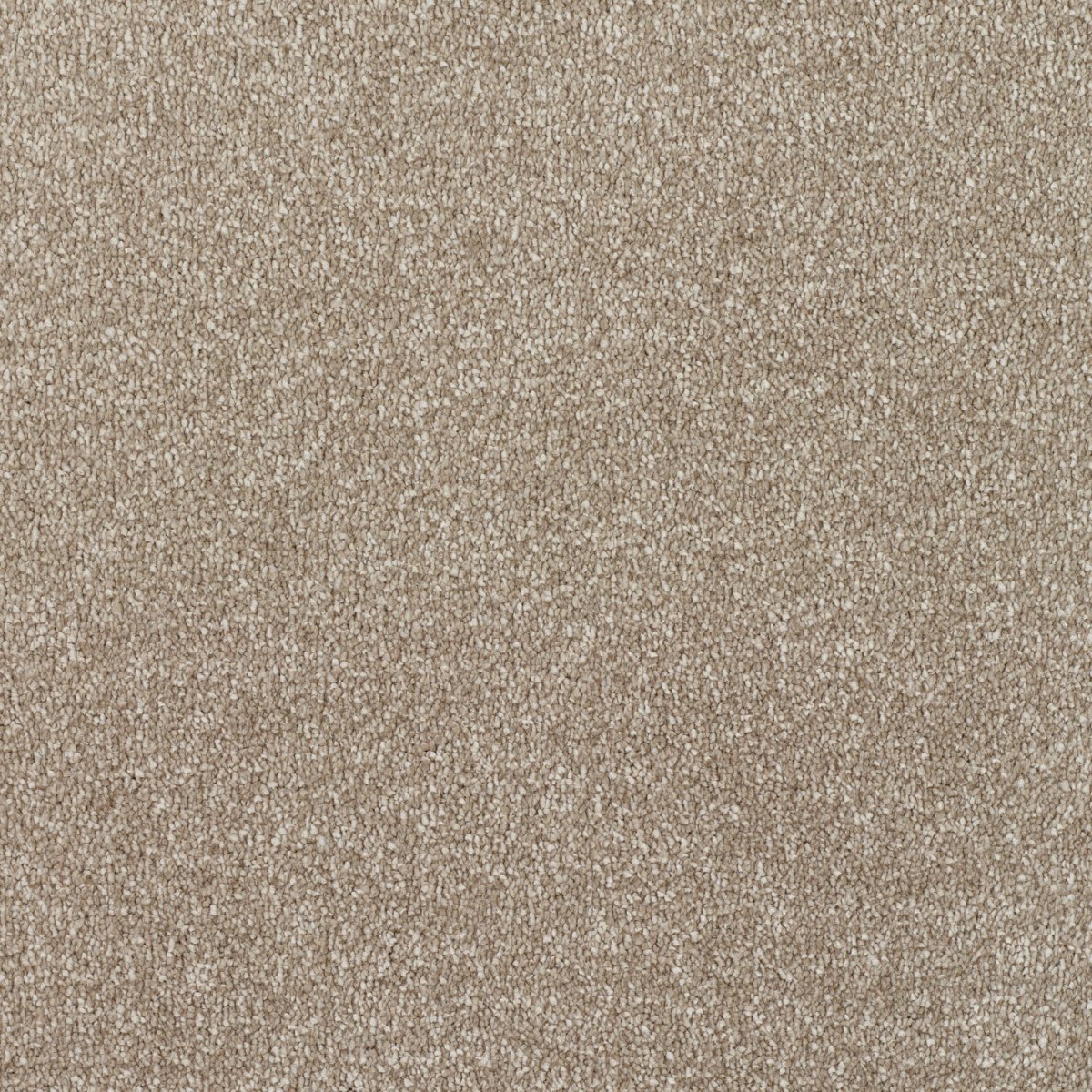 Regal Touch Luxurious Heavy Twist Carpet - Fine Regal Touch Luxurious Heavy Twist Carpet - Fine