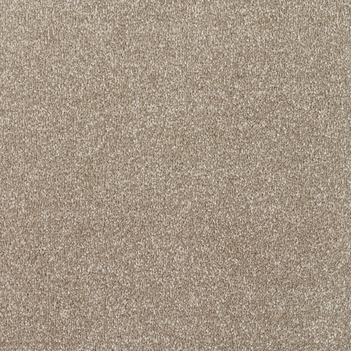 Regal Touch Luxurious Heavy Twist Carpet - Fine