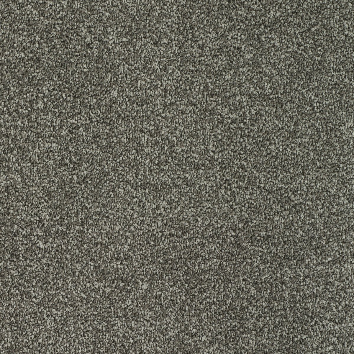 Regal Touch Luxurious Heavy Twist Carpet - Glorious Regal Touch Luxurious Heavy Twist Carpet - Glorious