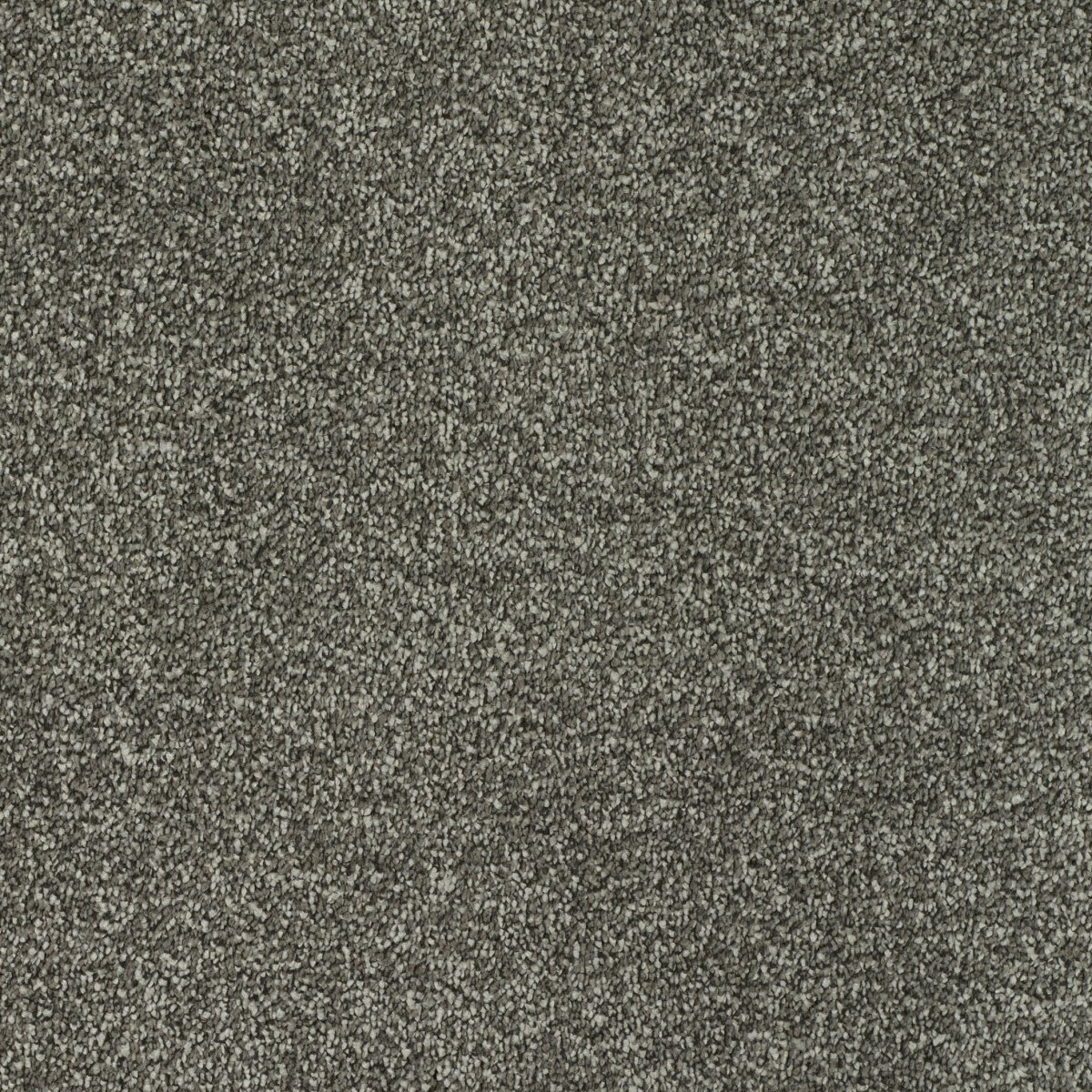 Regal Touch Luxurious Heavy Twist Carpet - Glorious