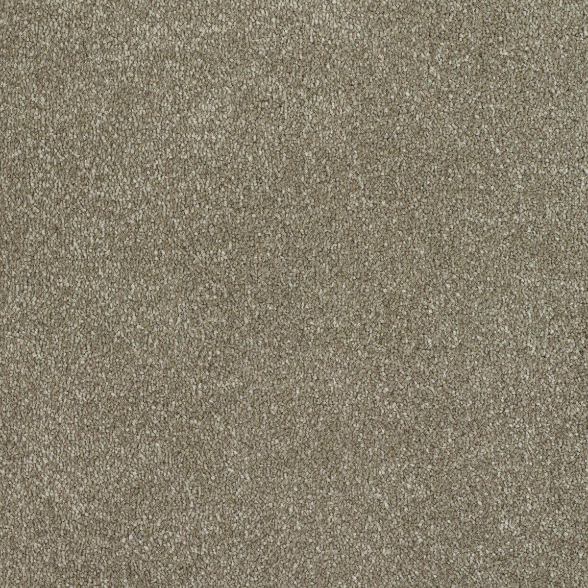 Regal Touch Luxurious Heavy Twist Carpet - Grand Regal Touch Luxurious Heavy Twist Carpet - Grand
