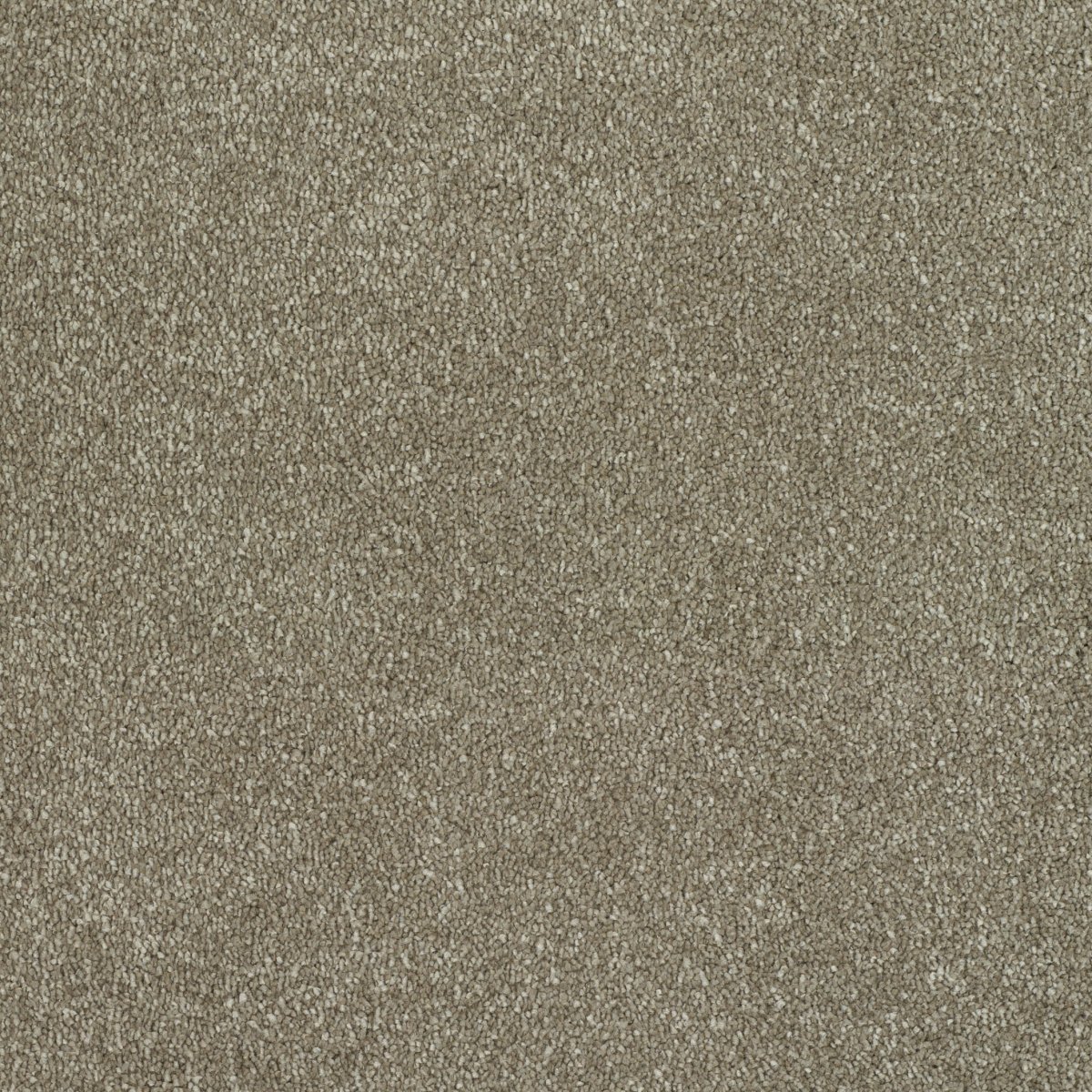 Regal Touch Luxurious Heavy Twist Carpet - Grand