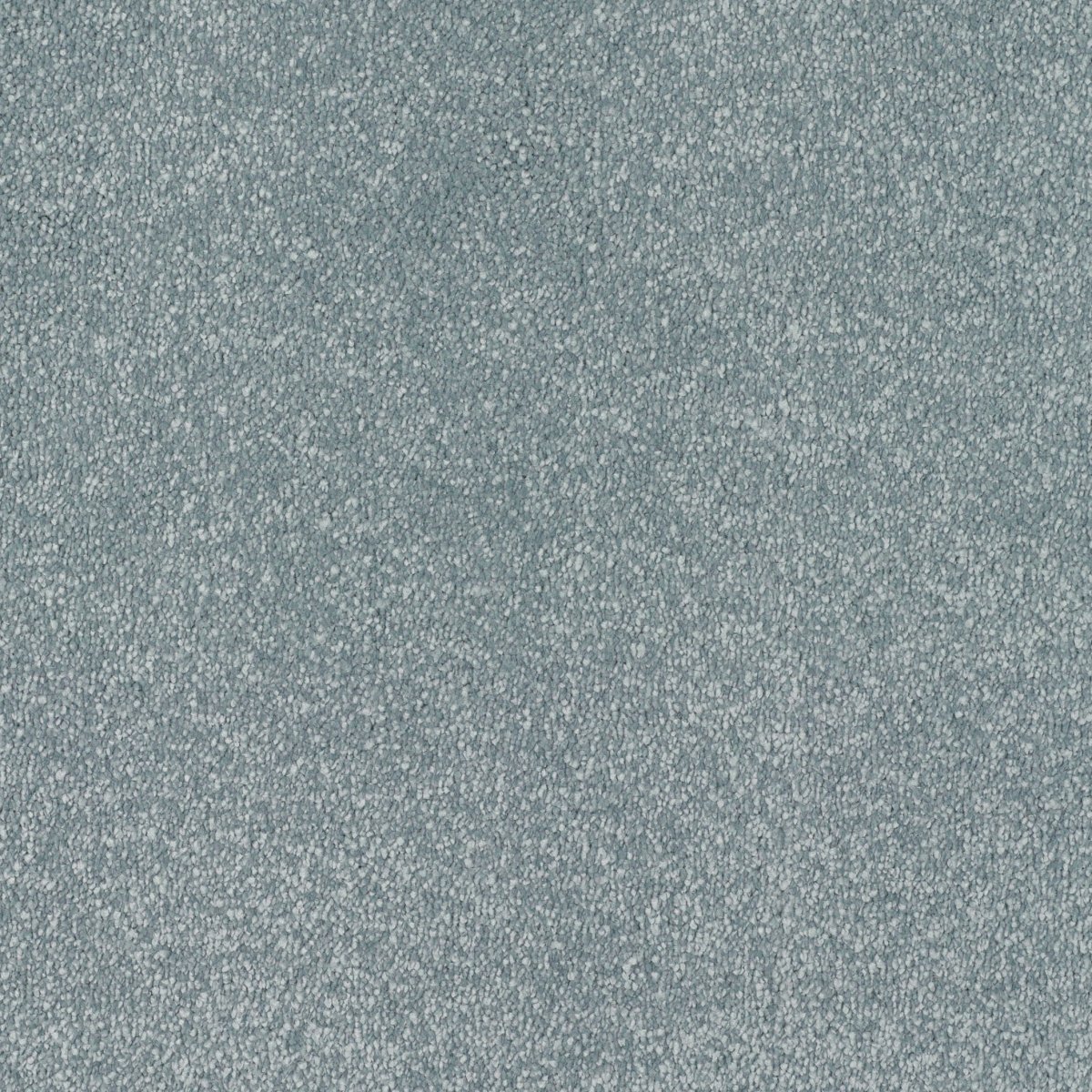Regal Touch Luxurious Heavy Twist Carpet - Great Regal Touch Luxurious Heavy Twist Carpet - Great