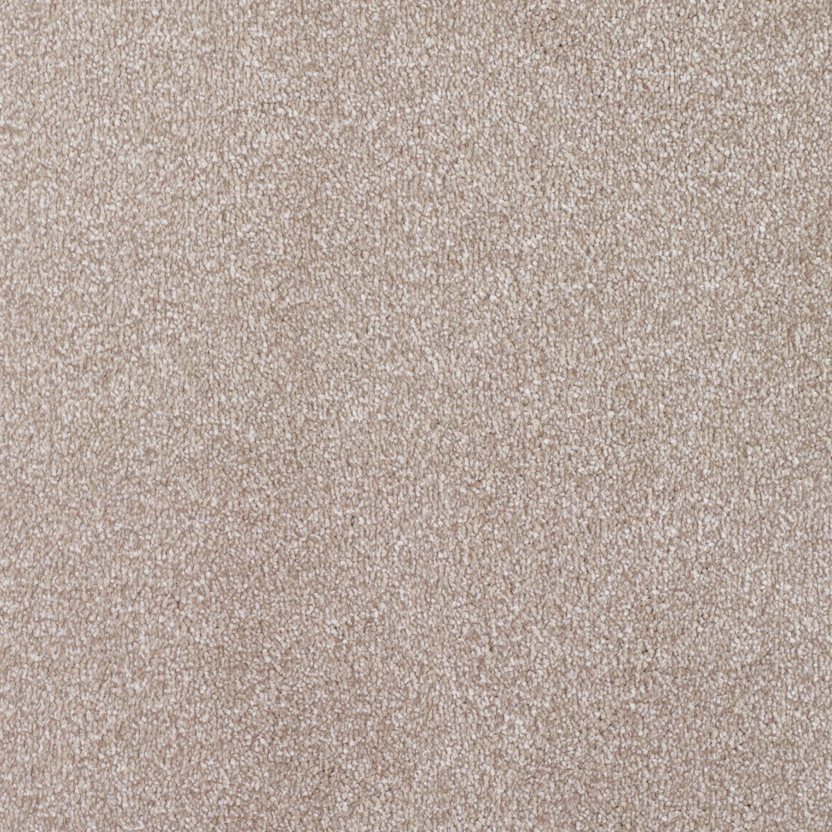 Regal Touch Luxurious Heavy Twist Carpet - Impress Regal Touch Luxurious Heavy Twist Carpet - Impress