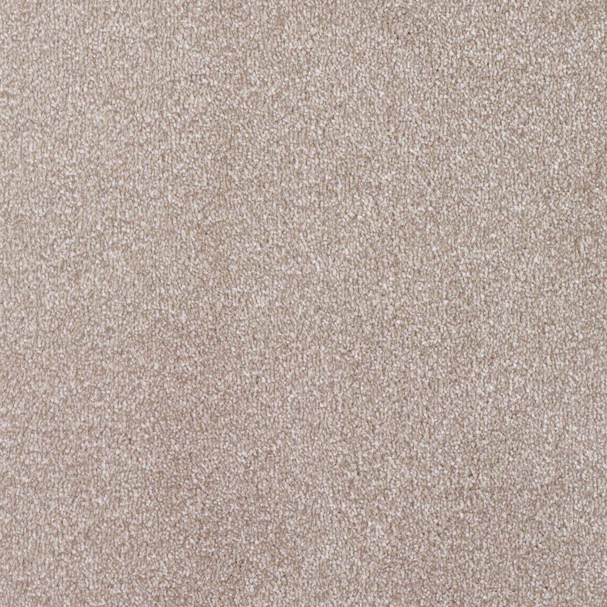 Regal Touch Luxurious Heavy Twist Carpet - Impress