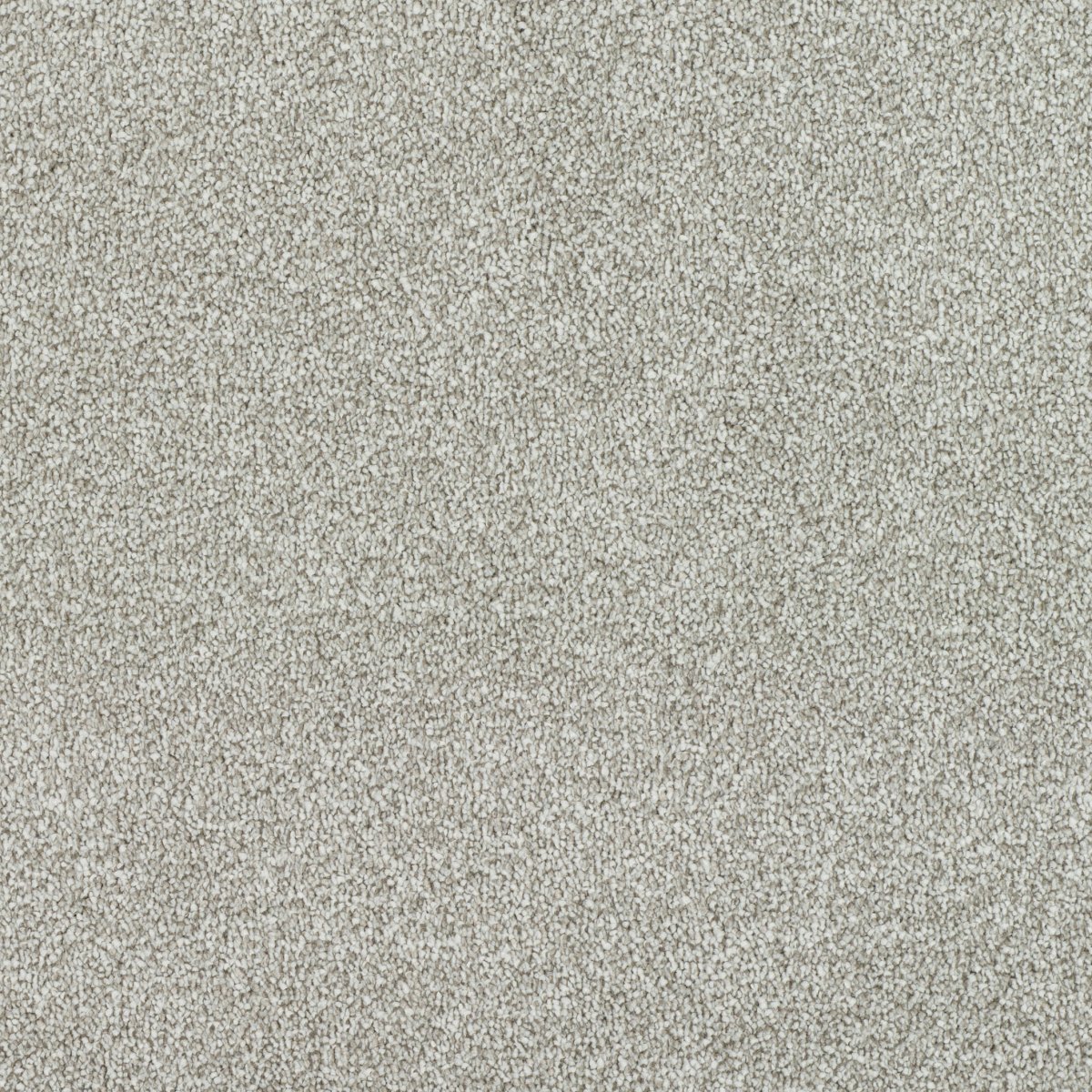 Regal Touch Luxurious Heavy Twist Carpet - Kingly Regal Touch Luxurious Heavy Twist Carpet - Kingly