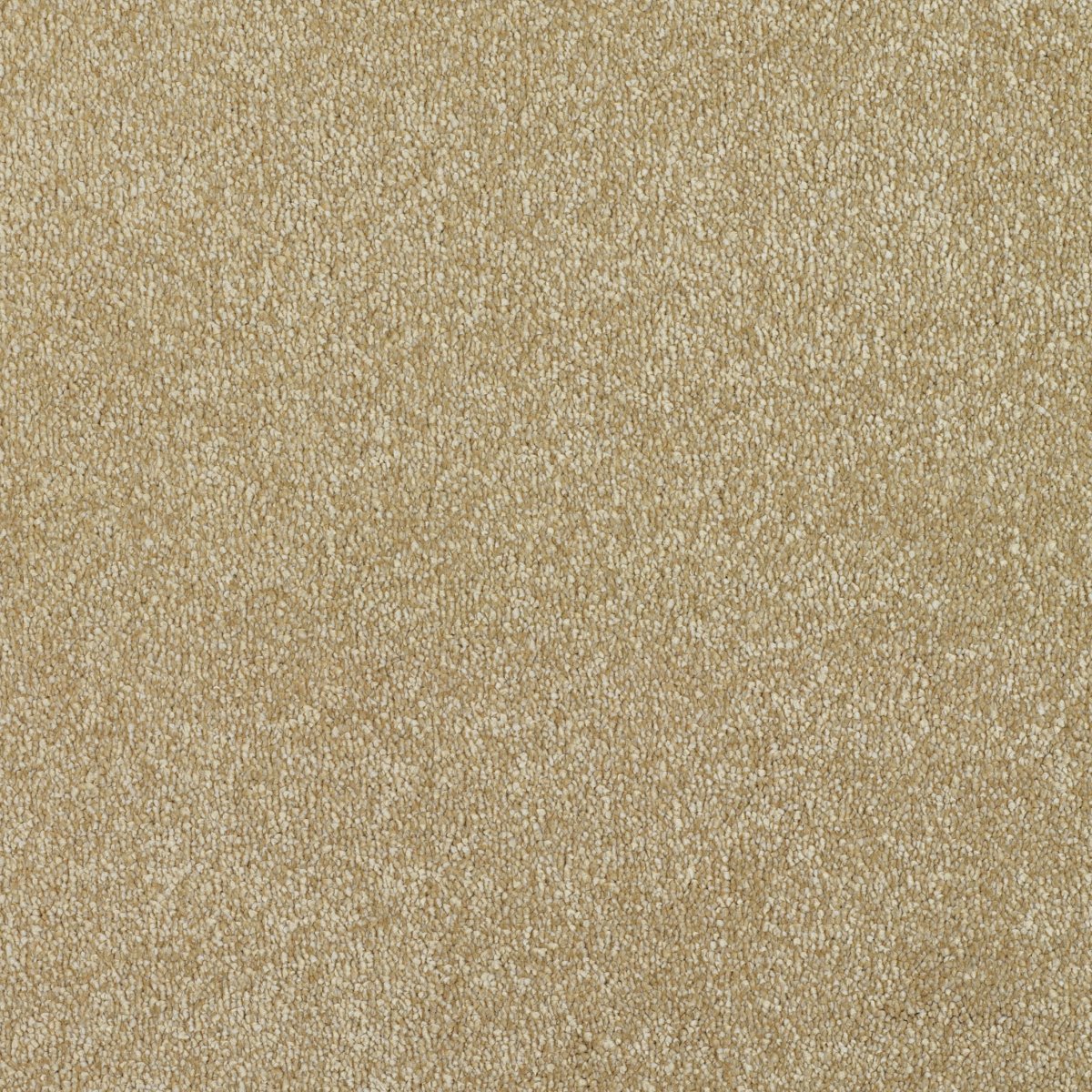 Regal Touch Luxurious Heavy Twist Carpet - Proud