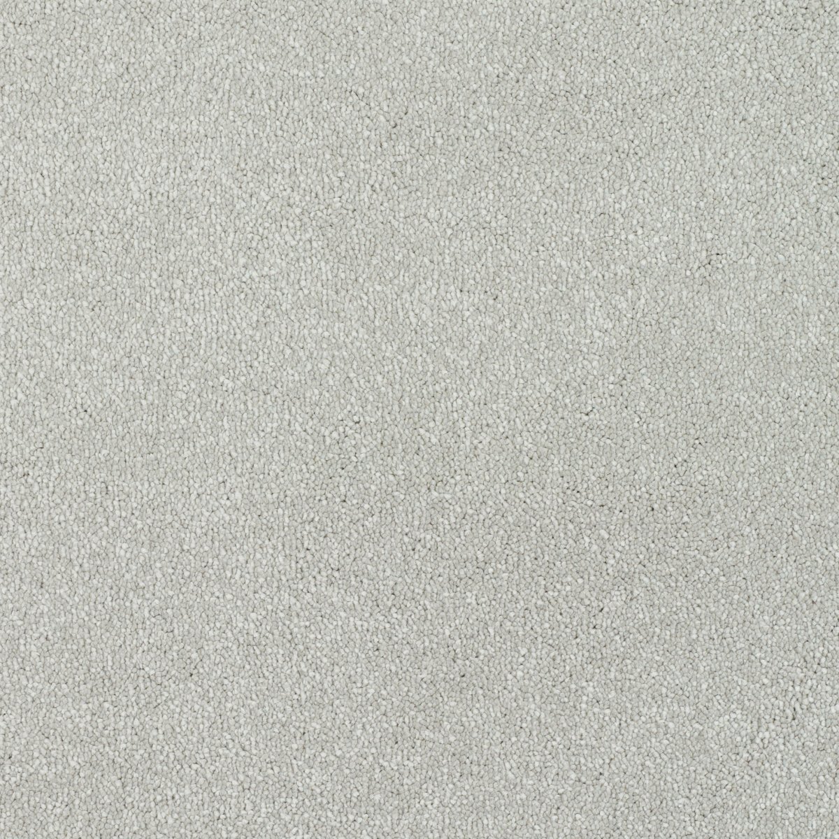 Regal Touch Luxurious Heavy Twist Carpet - Sovereign