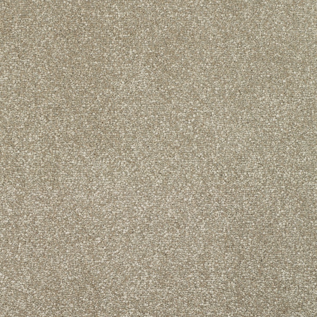 Regal Touch Luxurious Heavy Twist Carpet - Splendid Regal Touch Luxurious Heavy Twist Carpet - Splendid