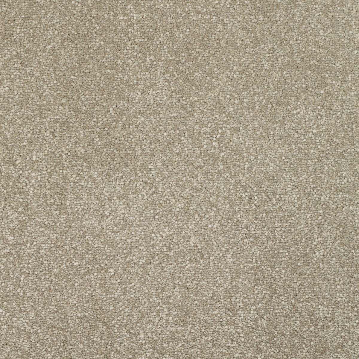 Regal Touch Luxurious Heavy Twist Carpet - Splendid