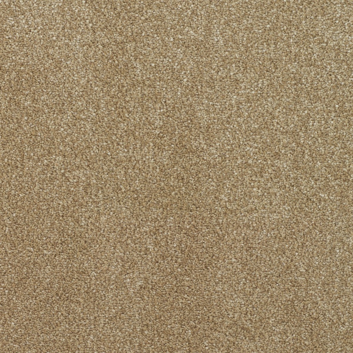 Regal Touch Luxurious Heavy Twist Carpet - Stately