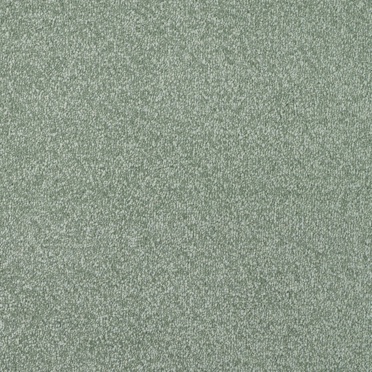Regal Touch Luxurious Heavy Twist Carpet - Striking Regal Touch Luxurious Heavy Twist Carpet - Striking