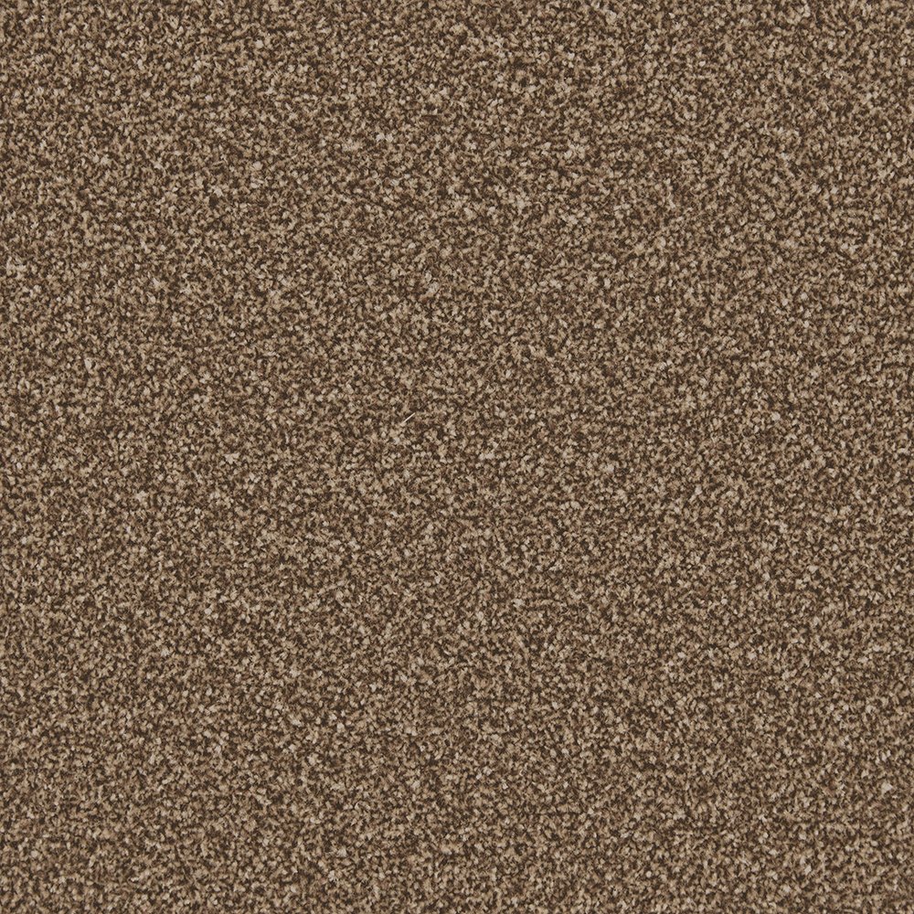 Rio Twist Carpet - Auburn