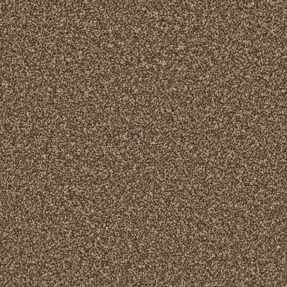 Rio Twist Carpet - Auburn